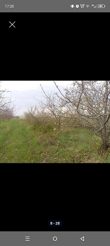 Torpaq sahələrinin satışı: Kənd təsərrüfatı — 7