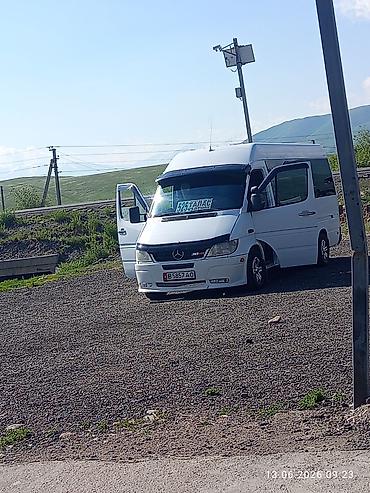 sliv pantera: Mercedes-Benz Спринтер: 2003 г., 2.2 л, Механика, Дизель, Универсал — 1