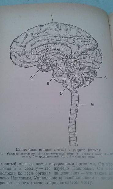 Книги и журналы: Продаются разные книги о знаменитых личностях: "Иван Павлов" 1952 год — 10