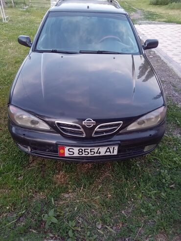 газ 53 галовка: Nissan Primera: 2002 г., 1.8 л, Механика, Бензин, Универсал