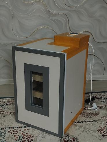 Инкубаторы: Инкубатор лор сатылат жаны колдо жасалган инкубаторлор ишенимдүү жана — 10