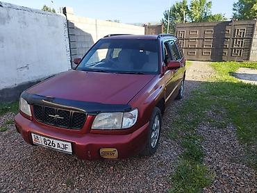 Subaru: Subaru Forester: 2000 г., 2 л, Автомат, Бензин, Универсал — 1