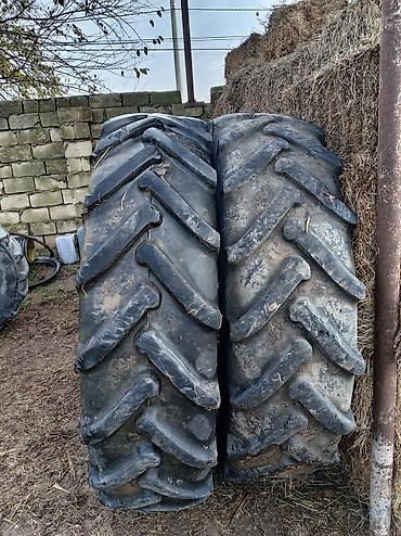 kask satin al: Məhsul: Kənd təsərrüfatı texnikası üçün traktor şinləri - Növ — 1