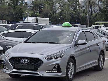 гранат соната: Hyundai Sonata: 2023 г., 2 л, Автомат, Газ, Седан — 5