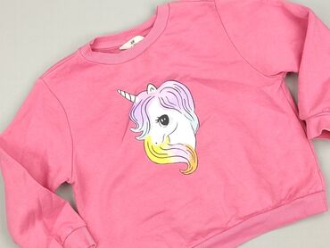 quechua kurtki: Sweatshirt, H&M, 5-6 years, 110-116 cm, condition - Perfect