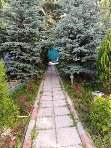 отдых на иссык куле с питанием цены: Коттедж, ДОСТУК | Радуга, Бостери