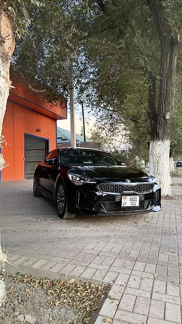 jetta 2: Kia Stinger: 2018 г., 2.2 л, Автомат, Дизель, Лифтбек — 4