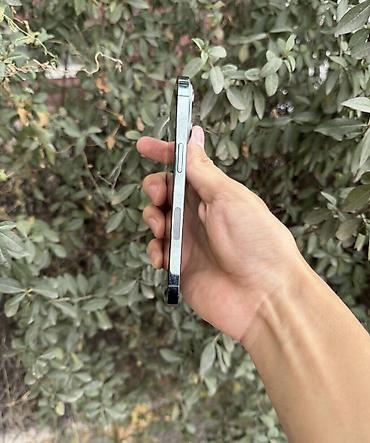 Уюлдук телефондор жана аксессуарлар: IPhone 13 Pro, Колдонулган, 256 ГБ, Жашыл, 88 % — 5