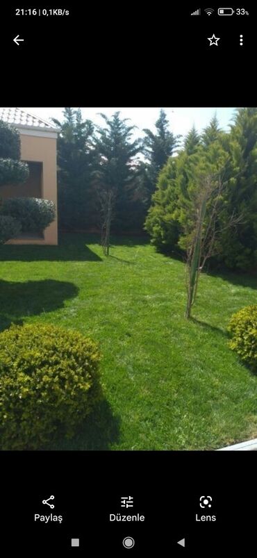 Toxumlar: Enli yarpağ Danimarka novü qazon ları bizdən əldedə bilərsiniz — 6