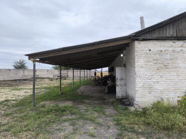 обмен домами: Продаю Кошара, 40 соток, Действующий, С оборудованием, Отопление, Холодная вода, Электричество