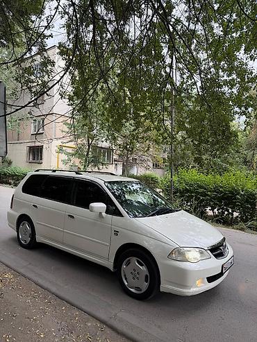 absolute: Honda Odyssey: 2002 г., 2.3 л, Автомат, Бензин, Минивэн — 1