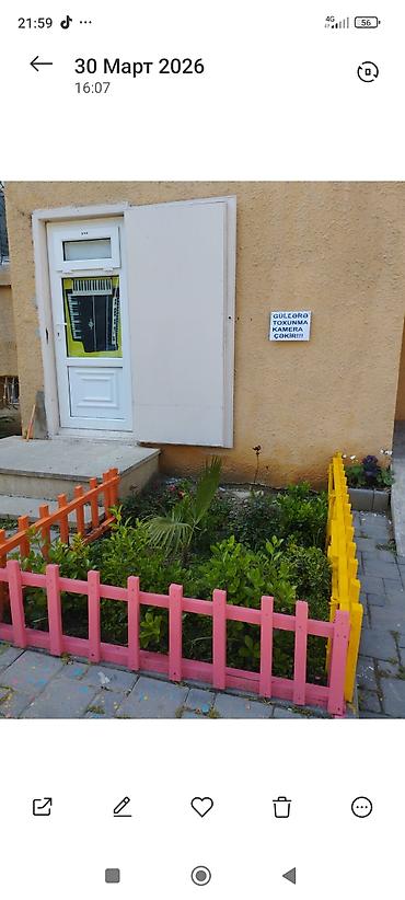Услуги: Xidmət: Harmoniya/Akkordeon təmiri və sazlanması Peşəkar ustadan — 2