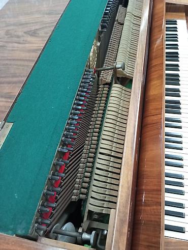 instrumenti: Zimmermann upright pianino - Marka/model: Zimmermann upright - — 4