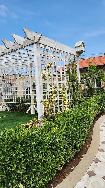 şaftali bagi: 190 kv. m, 4 otaqlı, Hovuzlu, İşıq — 6
