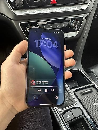 Apple iPhone: IPhone 13 Pro Max, 256 ГБ, Серебристый, 79 % — 1