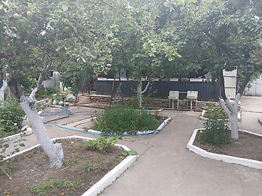 Недвижимость: Гостевой дом на Иссык-Куле, Золотые пески, Бостери, 10+ мест, На летний сезон — 1