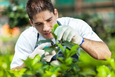 официант без опыта: Вакансия: Садовник 🌿🌸 Ищем увлеченного садовника для ухода за нашими