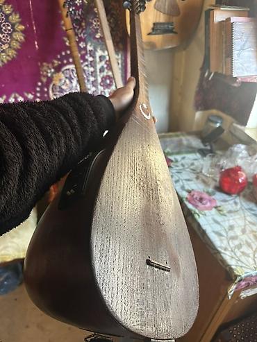 Digər musiqi alətləri: Elektro-çılqılı saz - Korpus: ağacdan hazırlanmış, tünd rəngli, yan — 15