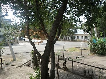 Продажа квартир: 3 комнаты, 85 м², 106 серия, 1 этаж, Косметический ремонт — 18