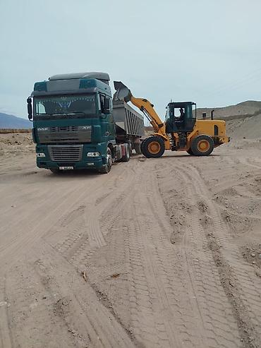 Тягачи: Тягач, DAF, 2003 г., Самосвал — 3