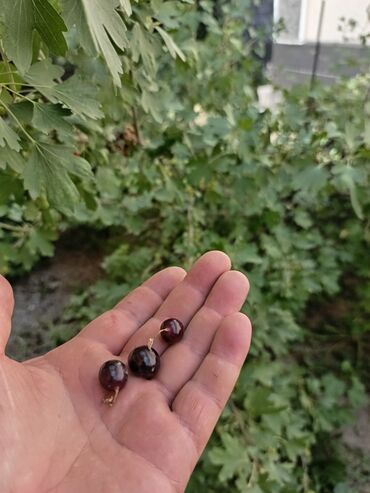 Продажа домов: Дом, 100 м², 4 комнаты, Собственник, Евроремонт — 4