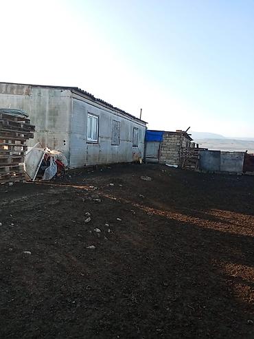 Konteynerlər: Vaqon,konteyner Təcili 3 ədəd konteyner satılır 11x3 6x3 7×5,2 -da lalafo.az — 11 Konteynerlər: Vaqon,konteyner Təcili 3 ədəd konteyner satılır 11x3 6x3 7×5,2 — 11