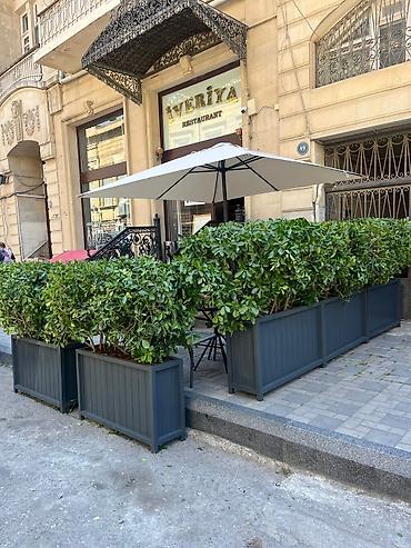bağ üçün: 🌿 HAZIR TAXTA DİBÇƏKLƏR – SİFARİŞƏ HAZIR! 🌿 🏡 Ev, bağ, teras, balkon — 3
