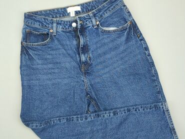 spodnie dresowe mckenzie: Jeans, H&M, L (EU 40), condition - Very good