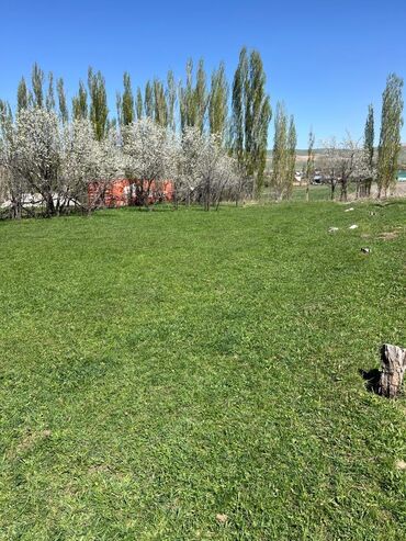 Продажа участков: 10 соток, Для строительства, Красная книга at lalafo.kg — 6 Продажа участков: 10 соток, Для строительства, Красная книга — 6