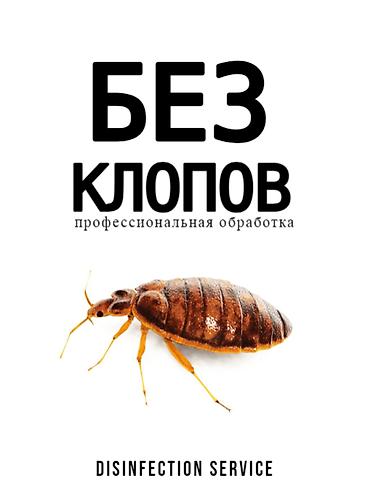Дезинфекция, дезинсекция: Дезинфекция, дезинсекция, | Блохи, Клопы, Тараканы, | Дворы, Дома, Кафе, магазины — 3