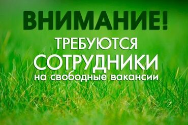 вакансия маляр: Требуется Сборщик, Оплата Дважды в месяц, Без опыта