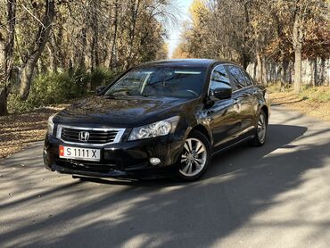 ноускат хонда: Honda Accord: 2008 г., 2.4 л, Автомат, Бензин, Седан