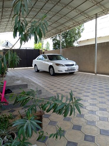 гранаты на камри: Toyota Camry: 2004 г., 2.4 л, Автоматтык, Бензин, Седан