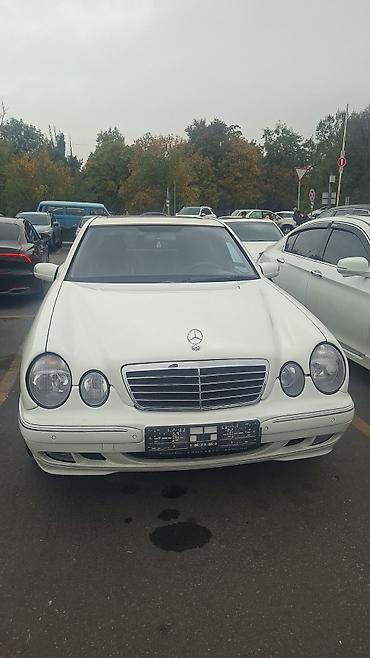 w210 e280: Mercedes-Benz E-Class: 2000 г., 3.2 л, Автомат, Бензин, Седан — 2