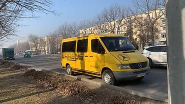 Mercedes-Benz Спринтер: 1995 г., 2.9 л, Механика, Дизель, Бус — 1
