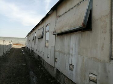 Другая коммерческая недвижимость: Продаю коммерческое помещение находящееся в Маевке (хорошая — 3