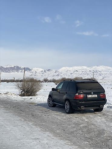 BMW: BMW X5: 2003 г., 3 л, Автомат, Дизель, Внедорожник — 6