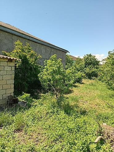 anbar satışı: 4 otaqlı, 120 kv. m, Orta təmir — 9