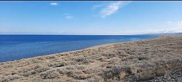 Продажа участков: 200 соток, Договор купли-продажи, Красная книга — 1