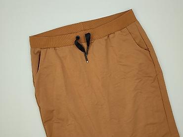 second handu: Fancy, Spódnica damska, rozmiar 2XL — 1
