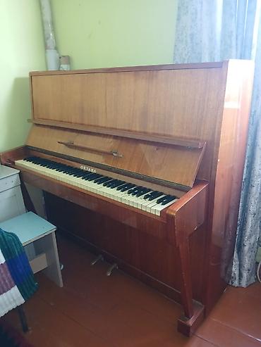 gitar pedal: Oktaba upright piano - Model: Oktaba, akustik dik (upright) piano - — 3