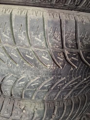 sava ex7: Летние шины Sava 235/65 R17 - Производитель: Sava - Размер: 235/65 — 2
