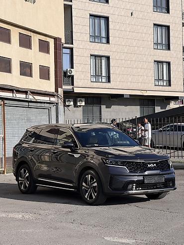 6: Kia Sorento: 2022 г., 1.6 л, Автомат, Гибрид, Кроссовер — 3