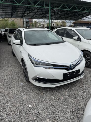 Другие аксессуары для салона: Toyota Corolla: 2019 г., 1.8 л, Вариатор, Электромобиль, Седан