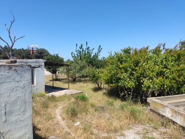 Bağ evlərinin satışı: Digah, 1 kv. m, 5 otaqlı, Hovuzsuz, Kombi, Qaz, İşıq