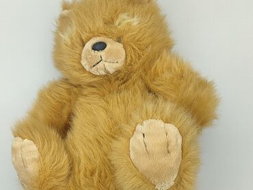 spodnie narciarskie dziecięce: Mascot Teddy bear, condition - Very good