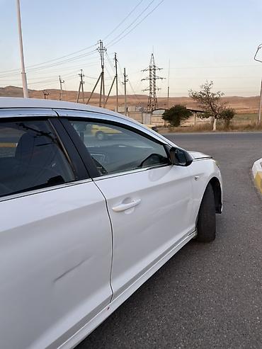 k5 optima: Hyundai Sonata: 2019 г., 2 л, Автомат, Газ, Седан — 6
