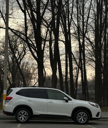 Subaru: Subaru Forester: 2022 г., 2.5 л, Вариатор, Бензин, Кроссовер — 7