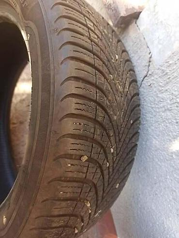 195 65 15 c: SAVA 195/50 R15 SVE SEZONE | Sava Allweather 195 50 R15 u dobrom — 3