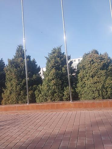 апарат метал: Подсленияга Бир бала керек Жер там душ ооба 2 адам жашайбыз Айына 5 — 1